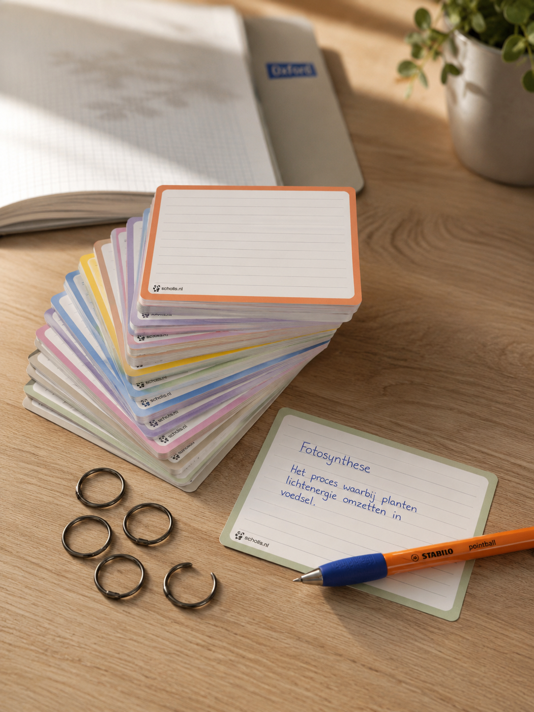 Scholis Flashcards Pakket A7 Pastel — 500 Stuks