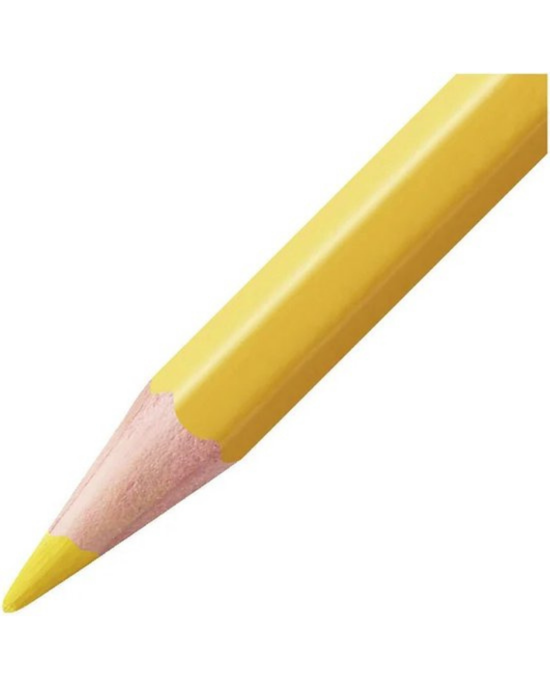 STABILO Aquacolor potloden - 24 kleuren - Academia Now - Schoolspullen voor de middelbare school, schoolplanner, agenda, notitieboek, flashcards, Stabilo- en Oxford schoolspullen voor beter plannen en leren - Hard Work Beats Talent