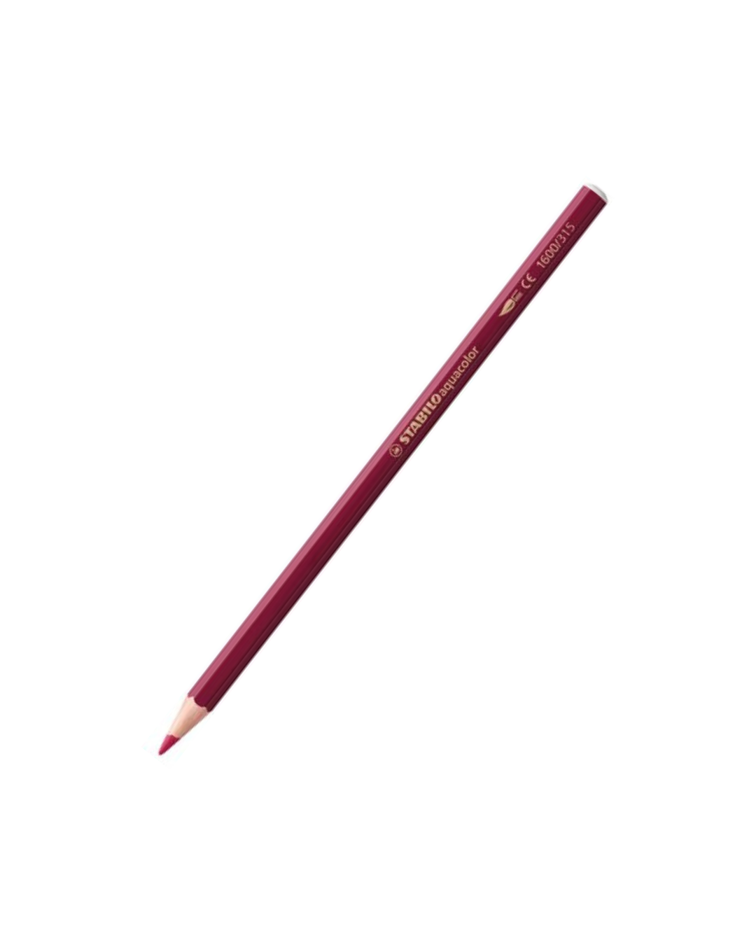 STABILO Aquacolor potloden - 24 kleuren - Academia Now - Schoolspullen voor de middelbare school, schoolplanner, agenda, notitieboek, flashcards, Stabilo- en Oxford schoolspullen voor beter plannen en leren - Hard Work Beats Talent