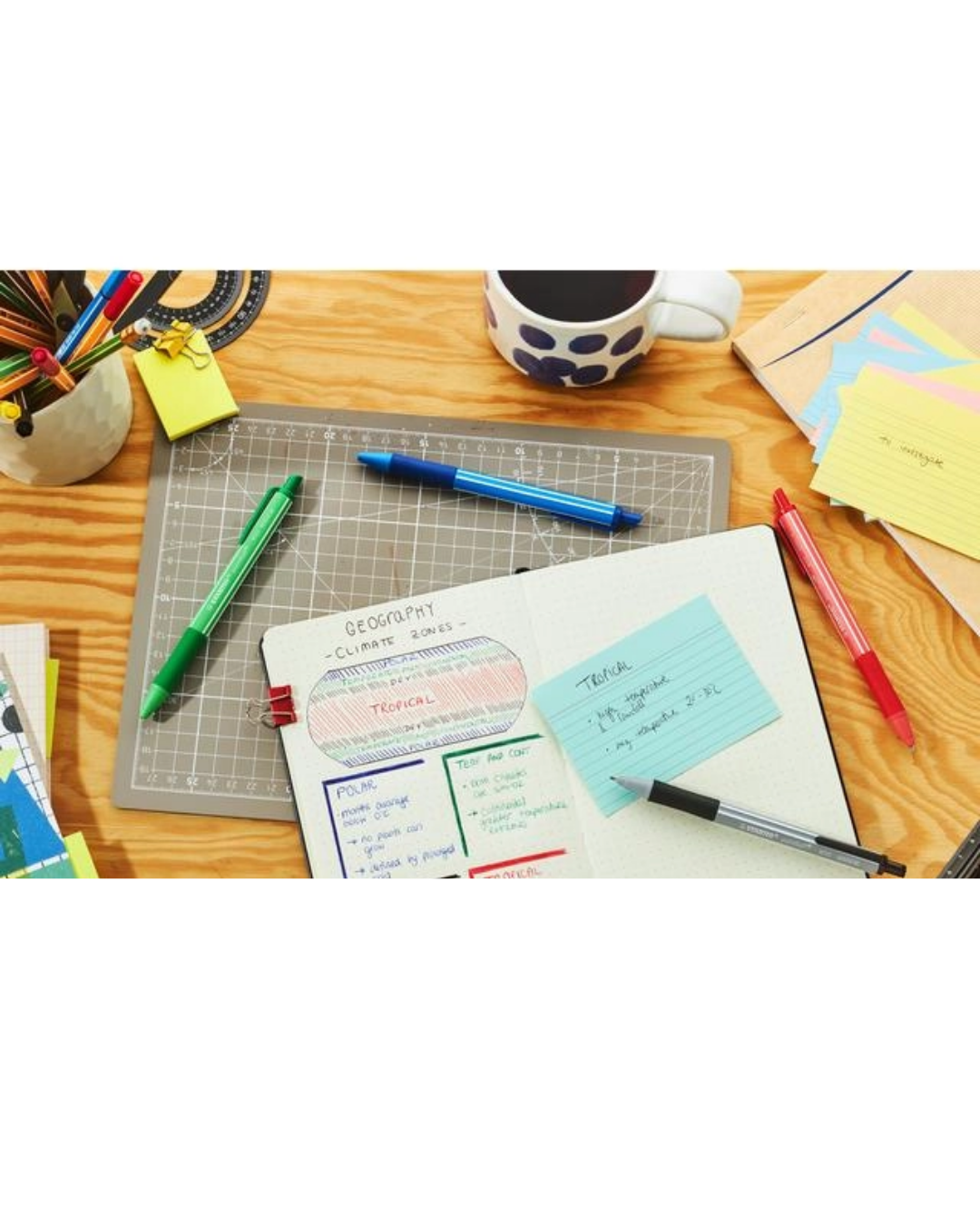 STABILO pointball colorful pennen zwart - 2 stuks - Academia Now - Schoolspullen voor de middelbare school, schoolplanner, agenda, notitieboek, flashcards, Stabilo- en Oxford schoolspullen voor beter plannen en leren - Hard Work Beats Talent