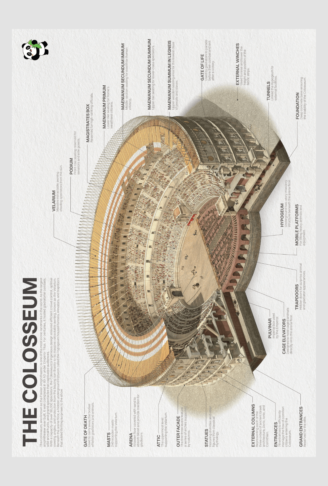 Colosseum Poster - Academia Now - Schoolspullen voor de middelbare school, schoolplanner, agenda, notitieboek, flashcards, Stabilo- en Oxford schoolspullen voor beter plannen en leren - Hard Work Beats Talent