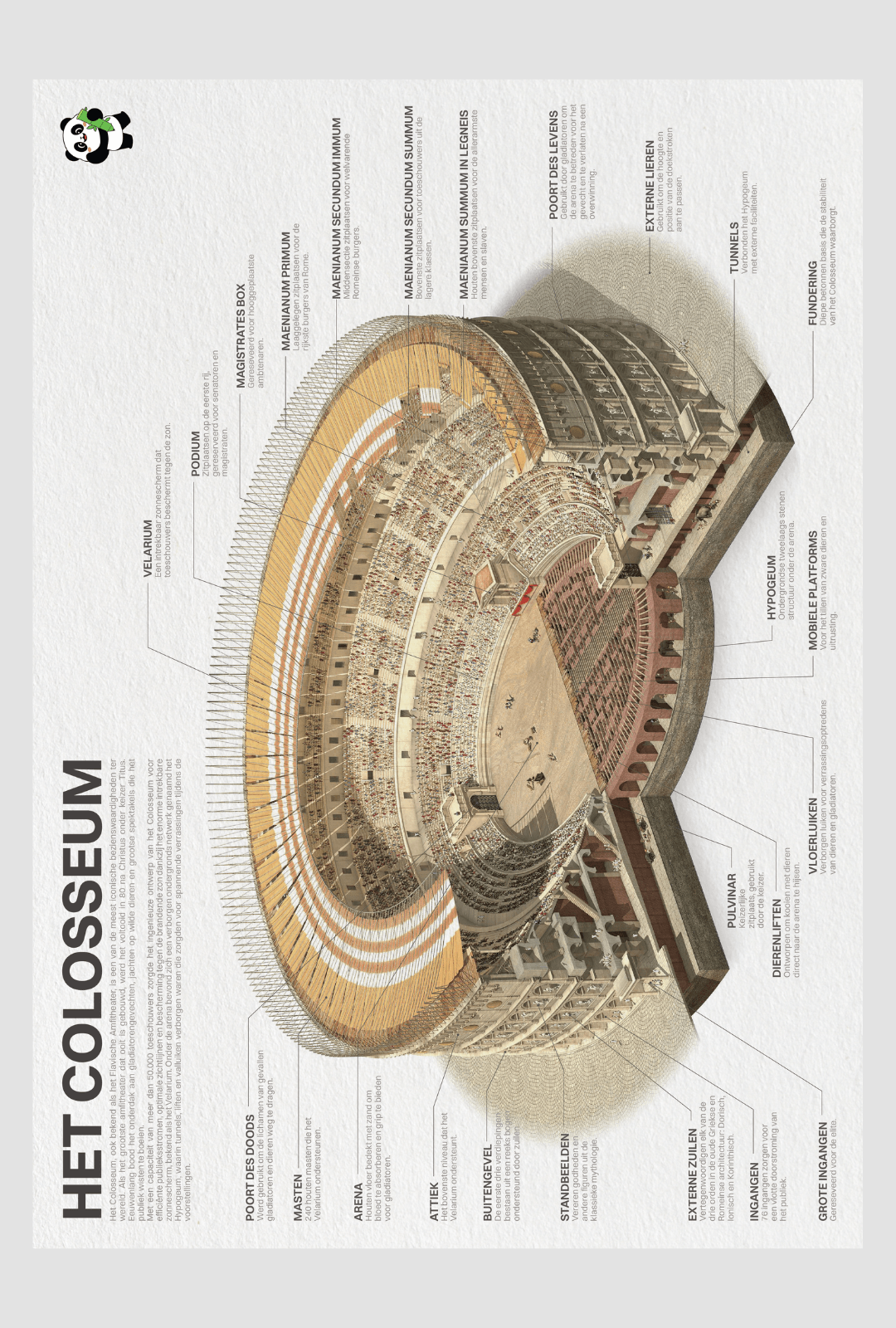 Colosseum Poster - Academia Now - Schoolspullen voor de middelbare school, schoolplanner, agenda, notitieboek, flashcards, Stabilo- en Oxford schoolspullen voor beter plannen en leren - Hard Work Beats Talent