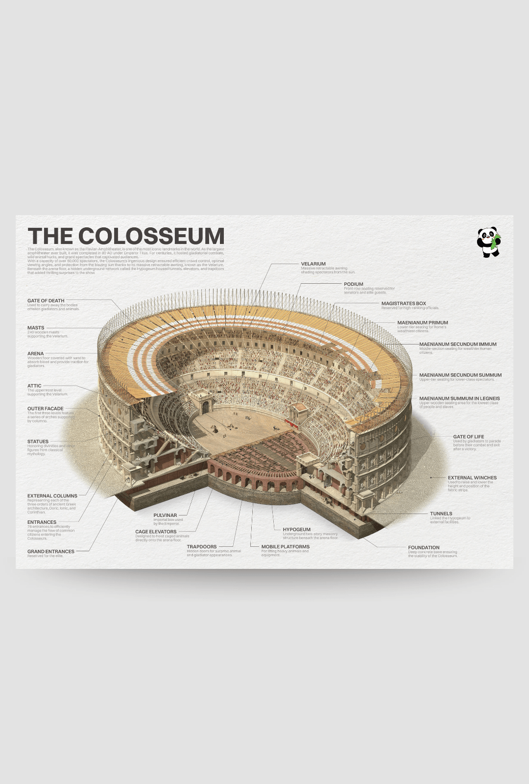 Colosseum Poster - Academia Now - Schoolspullen voor de middelbare school, schoolplanner, agenda, notitieboek, flashcards, Stabilo- en Oxford schoolspullen voor beter plannen en leren - Hard Work Beats Talent